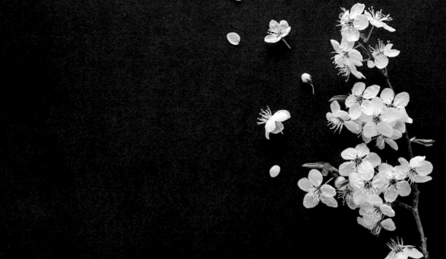 Βαθιά θλίψη για την τραγική υπόθεση της 19χρονης Μυρτούς